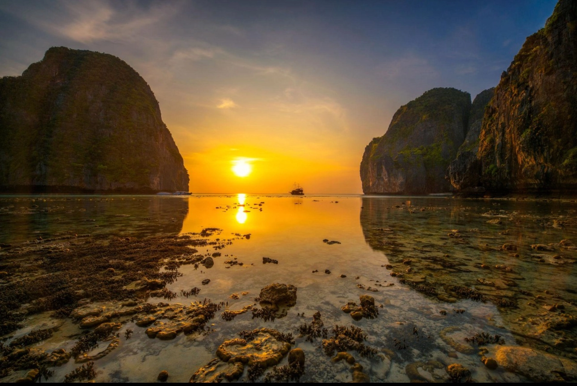 Phi Phi & 4 Islands Sunset + Bioluminescent Plankton Speedboat Join Tour.